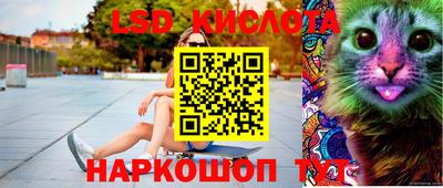 СК Новодвинск