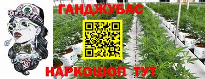 СК Новодвинск
