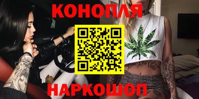 СК Новодвинск