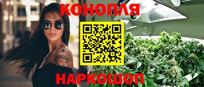СК Новодвинск