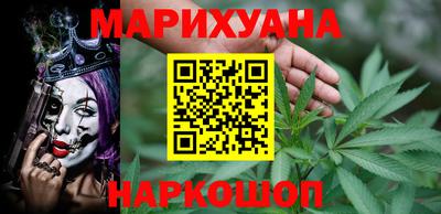 СК Новодвинск