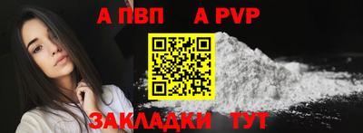СК Новодвинск