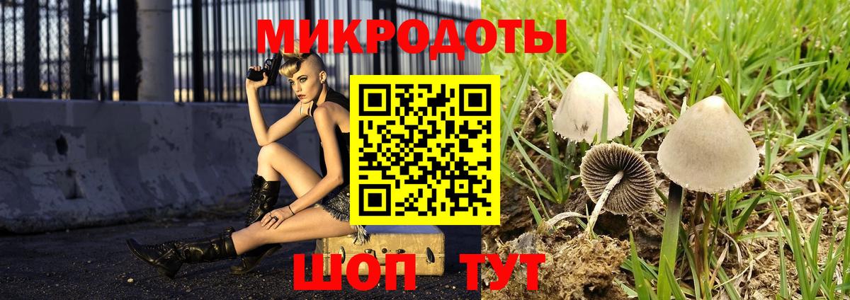 Псилоцибиновые грибы GOLDEN TEACHER  Вход с VPN  Алатырь 