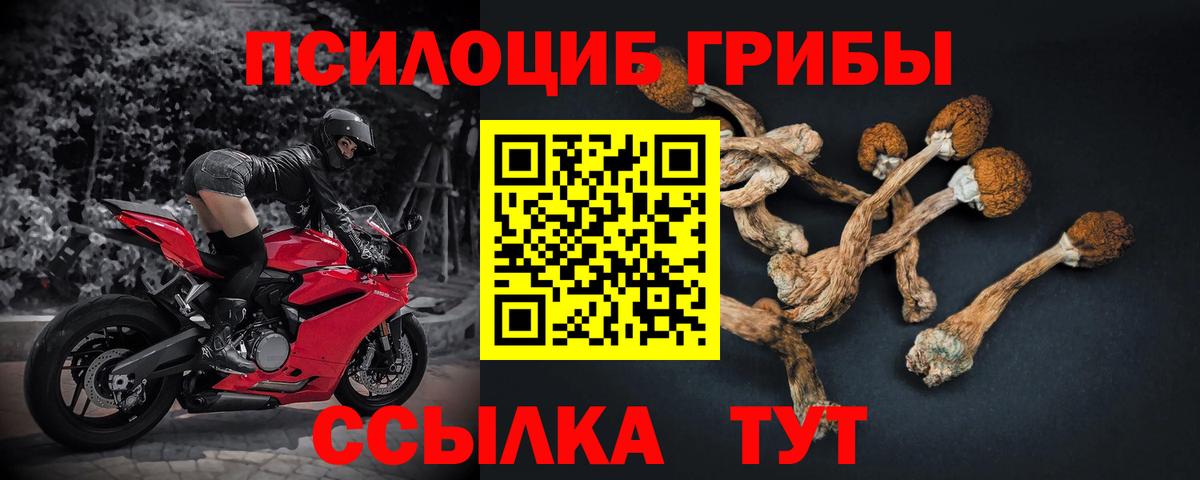 Псилоцибиновые грибы Psilocybine cubensis Алатырь
